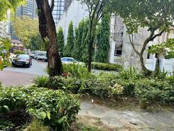 Emerald Hill Conservation Area (D9), Terrace #496535861